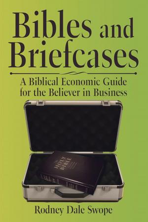 Cover of the book Bibles and Briefcases by BHL