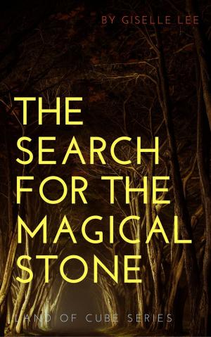 Book cover of The Search For The Magical Stone