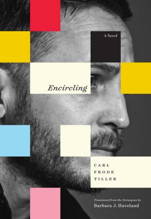Cover of the book Encircling by Katie Ford