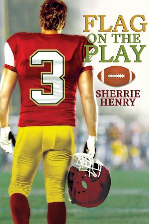 Cover of the book Flag on the Play by Rebecca Cohen