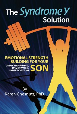 Cover of the book The Syndrome Y Solution by Birgit Jackel