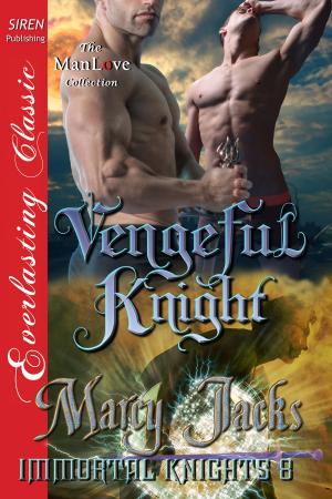 Cover of the book Vengeful Knight by E. A. Reynolds