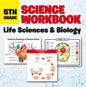 Cover of the book 5th Grade Science Workbook: Life Sciences & Biology by Stephen G.D Jackley
