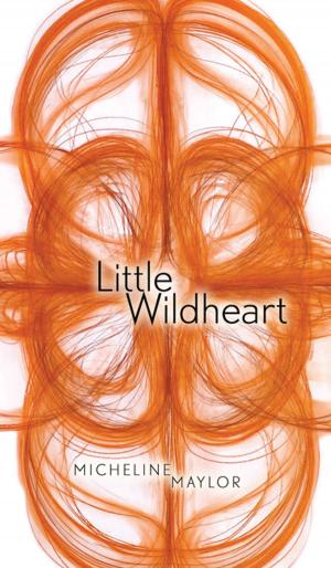 Cover of the book Little Wildheart by Eden Robinson