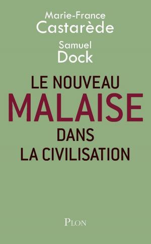 Cover of the book Le nouveau malaise dans la civilisation by Georges SIMENON