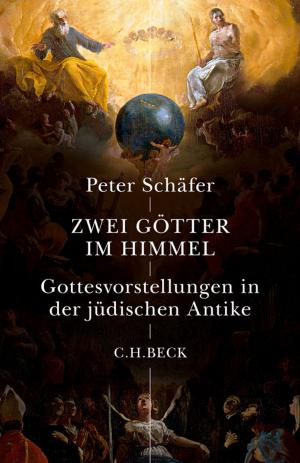 Cover of the book Zwei Götter im Himmel by Rüdiger Fromm, Hans Vogt