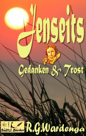 Cover of the book Jenseits - Gedanken & Trost by Anna-Maria Brunner