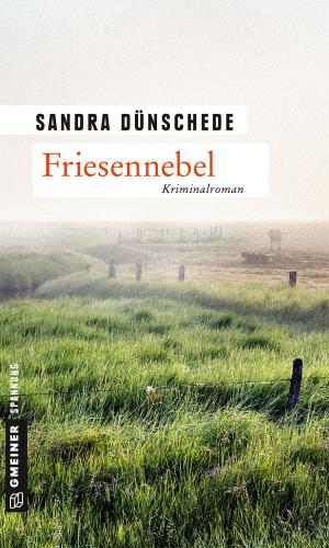 bigCover of the book Friesennebel by 