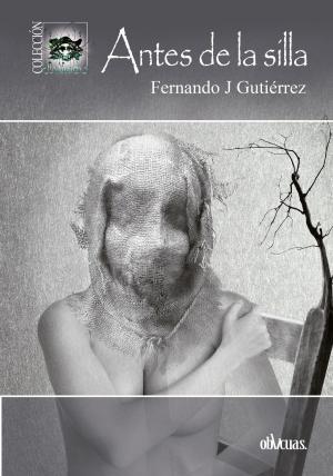 Cover of the book Antes de la silla by Roberto Gallego