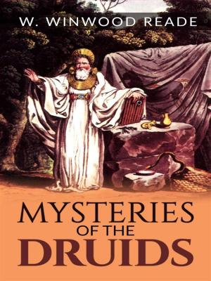 Cover of the book Mysteries of the Druids by Herman Bernstein