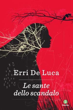 Book cover of Le sante dello scandalo