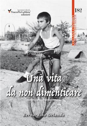 Cover of the book Una vita da non dimenticare by Adem Dursun