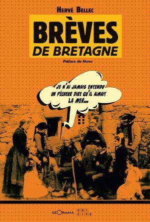 Cover of the book Brèves de Bretagne by Charlene Carr