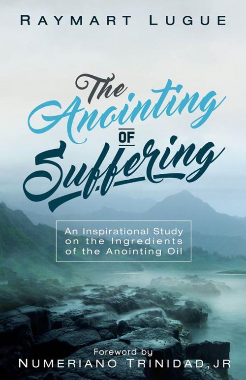 Cover of the book The Anointing of Suffering by Raymart Lugue, Independently published