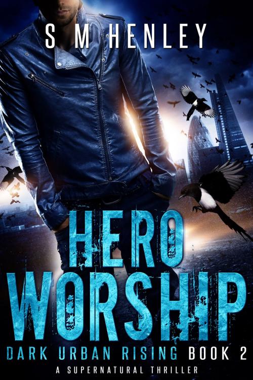 Cover of the book Hero Worship by S M HENLEY, Darkish Fiction