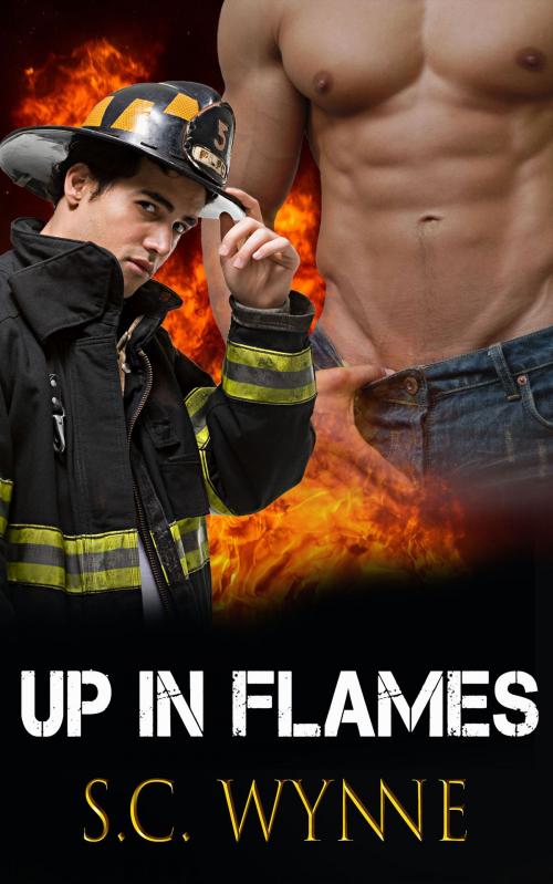 Cover of the book Up In Flames by S.C. Wynne, Wynne Wynne Publishing