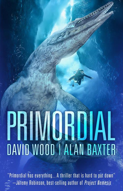 Cover of the book Primordial by David Wood, Alan Baxter, Gryphonwood Press