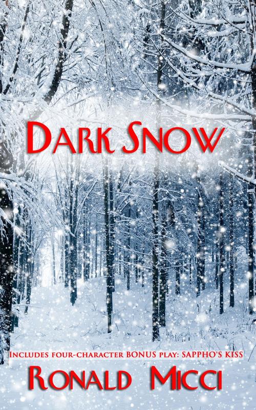 Cover of the book Dark Snow by Ronald Micci, PublishDrive