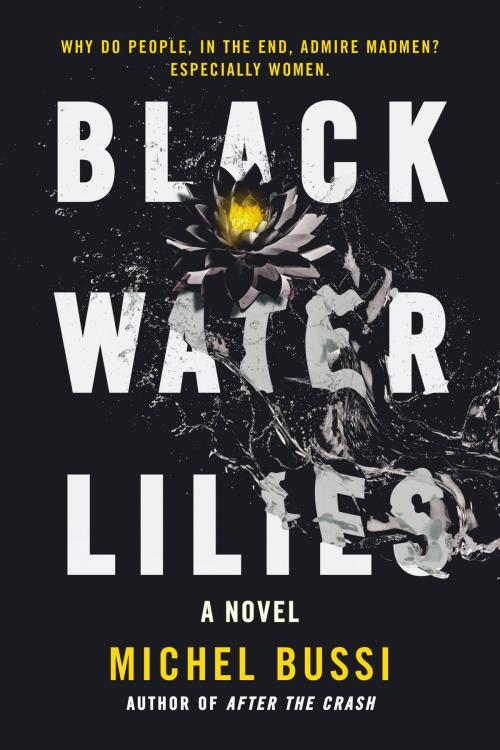 Cover of the book Black Water Lilies by Michel Bussi, Hachette Books