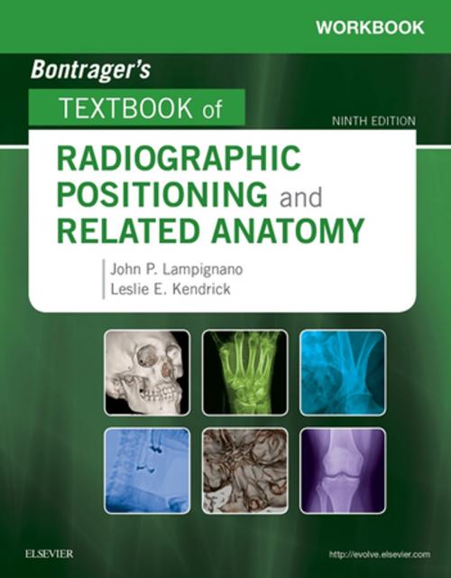 Cover of the book Workbook for Bontrager's Textbook of Radiographic Positioning and Related Anatomy - E-Book by John Lampignano, MEd, RT(R) (CT), Leslie E. Kendrick, MS, RT(R)(CT)(MR), Elsevier Health Sciences