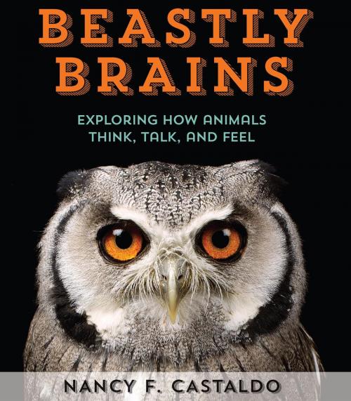 Cover of the book Beastly Brains by Nancy Castaldo, HMH Books