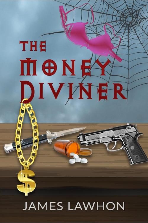 Cover of the book The Money Diviner by James Lawhon, Just Curves 2 LLC