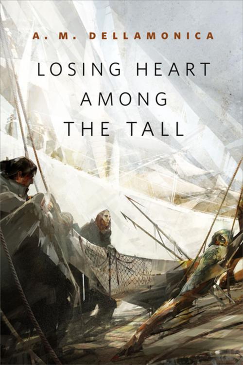 Cover of the book Losing Heart Among the Tall by A. M. Dellamonica, Tom Doherty Associates