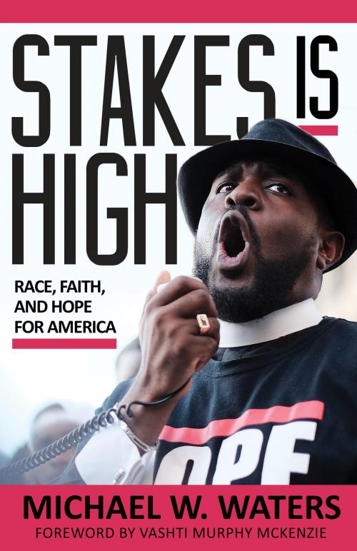 Cover of the book Stakes Is High by Michael W. Waters, Chalice Press