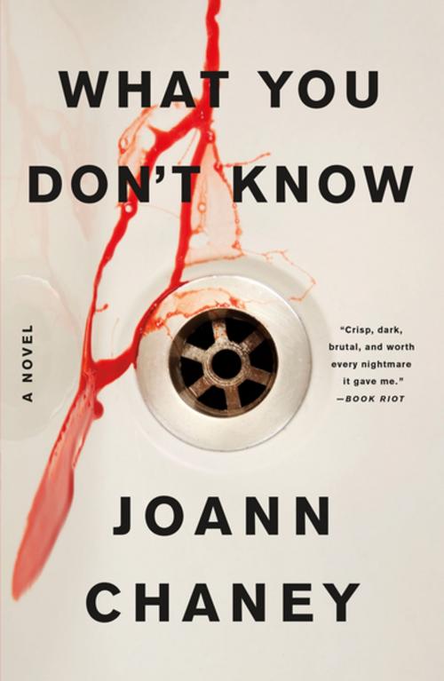 Cover of the book What You Don't Know by JoAnn Chaney, Flatiron Books