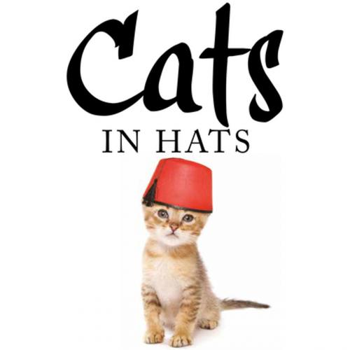 Cover of the book Cats in Hats by Kat Scratching, St. Martin's Press