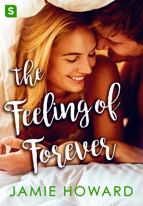 Cover of the book The Feeling of Forever by Jamie Howard, St. Martin's Press