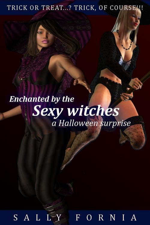 Cover of the book Enchanted by the Sexy Witches: a Halloween Surprise by Sally Fornia, Eros Shrugged Publishing