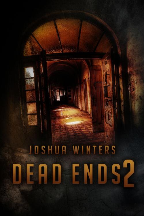 Cover of the book Dead Ends2 by Joshua Winters, Joshua Winters