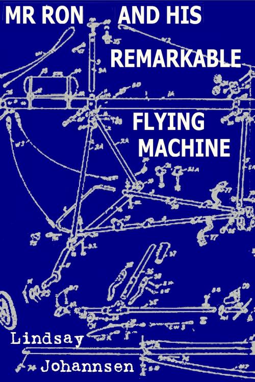 Cover of the book Mr Ron And His Remarkable Flying Machine by Lindsay Johannsen, Lindsay Johannsen