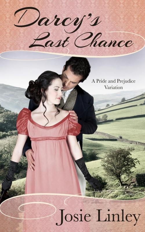 Cover of the book Darcy’s Last Chance (A Pride and Prejudice Variation) by Josie Linley, Josie Linley