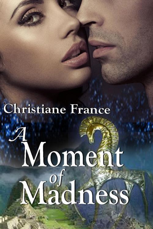 Cover of the book A Moment Of Madness by Christiane France, Christiane France