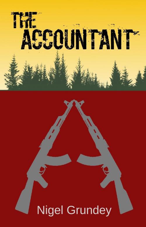 Cover of the book The Accountant by Nigel Grundey, Nigel Grundey