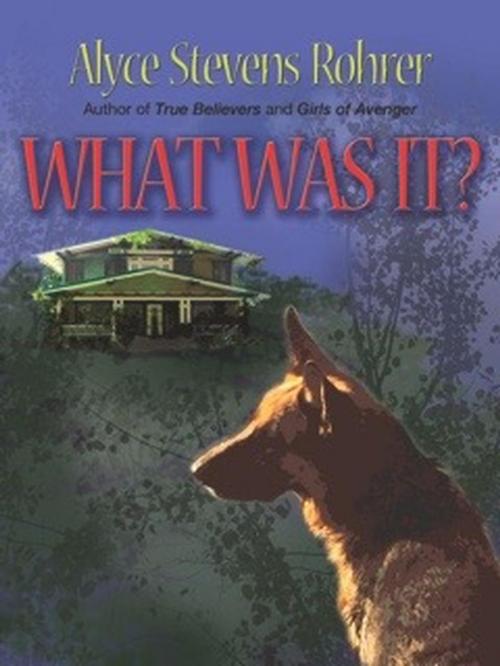 Cover of the book What Was It? by Alyce Rohrer, Azure Publications, Ltd.
