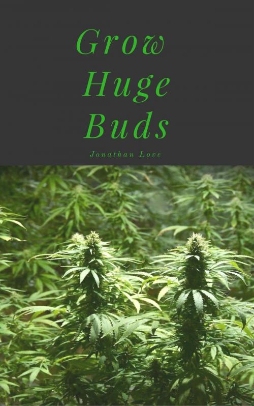 Cover of the book Grow Huge Buds by Jonathan Love, Jonathan Love