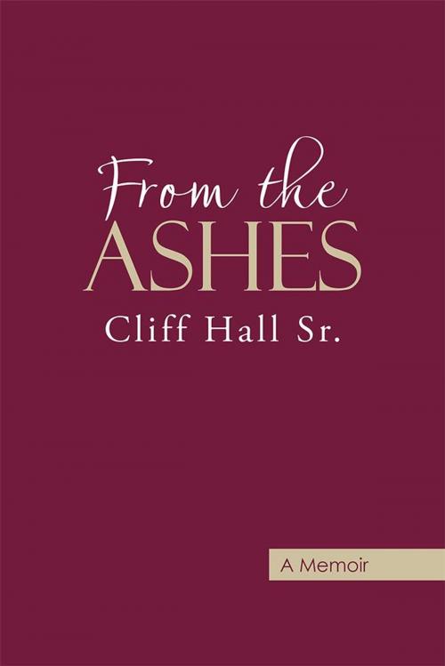 Cover of the book From the Ashes by Cliff Hall Sr., Abbott Press