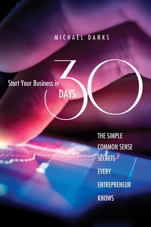 Cover of the book Start Your Business in 30 Days by Michael Danks, Essence Publishing