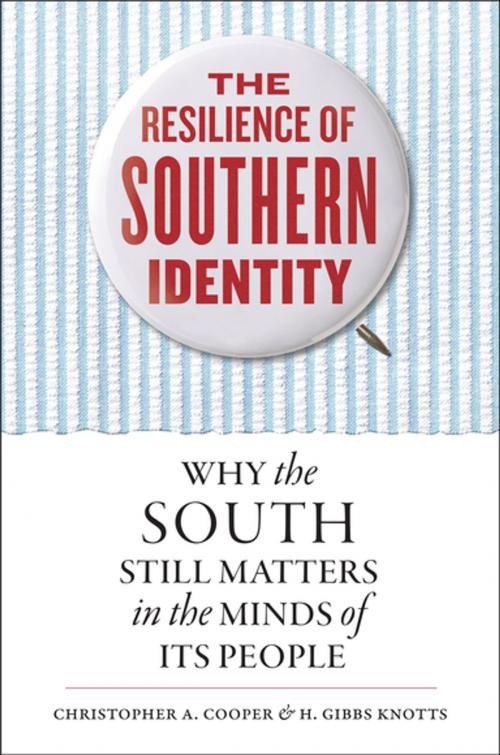 Cover of the book The Resilience of Southern Identity by Christopher A. Cooper, H. Gibbs Knotts, The University of North Carolina Press