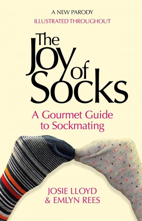 Cover of the book The Joy of Socks: A Gourmet Guide to Sockmating by Emlyn Rees, Josie Lloyd, Little, Brown Book Group