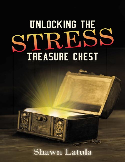 Cover of the book Unlocking the Stress Treasure Chest by Shawn Latula, Lulu Publishing Services