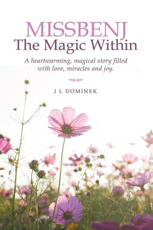 Cover of the book Missbenj by J L Dominek, LifeRich Publishing