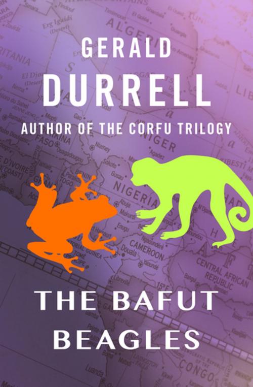 Cover of the book The Bafut Beagles by Gerald Durrell, Open Road Media