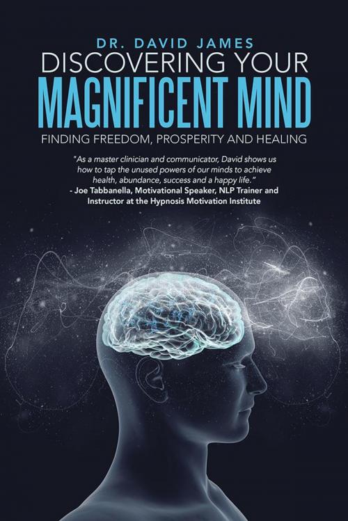 Cover of the book Discovering Your Magnificent Mind by David James, Balboa Press