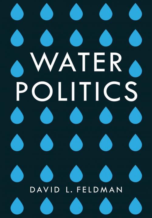 Cover of the book Water Politics by David L. Feldman, Wiley