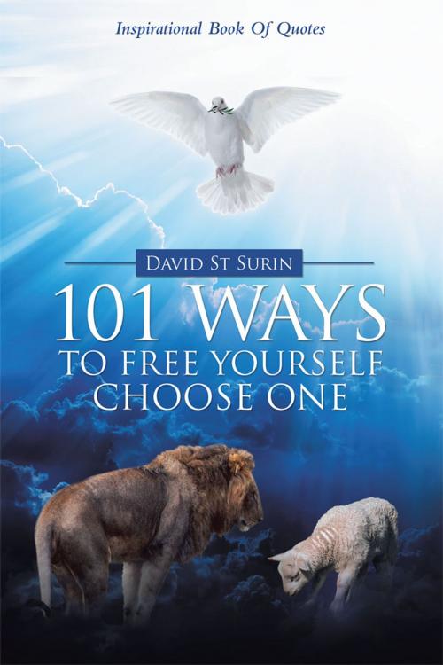 Cover of the book 101 Ways to Free Yourself Choose One by David St Surin, WestBow Press