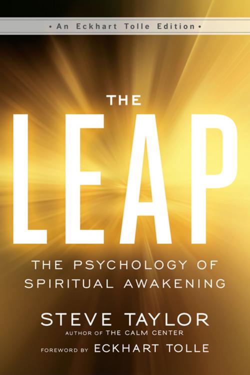 Cover of the book The Leap by Steve Taylor, New World Library